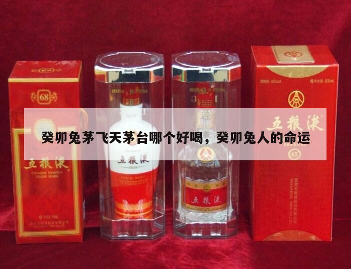 癸卯兔茅飞天茅台哪个好喝，癸卯兔人的命运