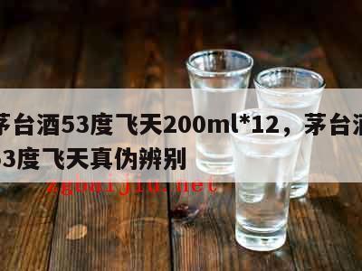 茅台酒53度飞天200ml*12，茅台酒53度飞天真伪辨别