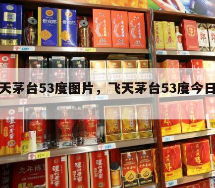 飞天茅台53度图片，飞天茅台53度今日行情
