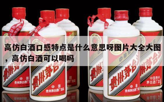 高仿白酒口感特点是什么意思呀图片大全大图，高仿白酒可以喝吗