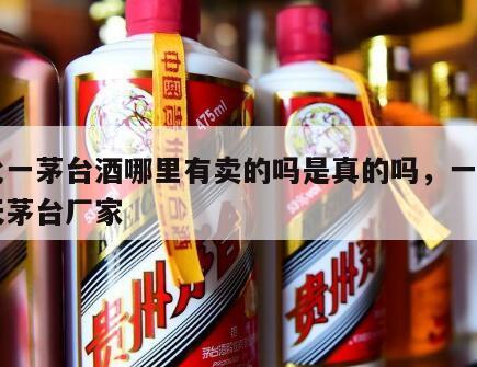 一比一茅台酒哪里有卖的吗是真的吗，一比一飞天茅台厂家