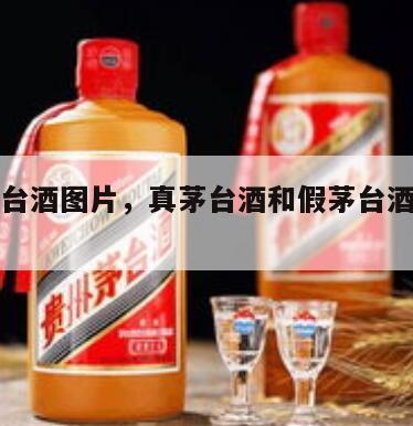 真假茅台酒图片，真茅台酒和假茅台酒有什么区别