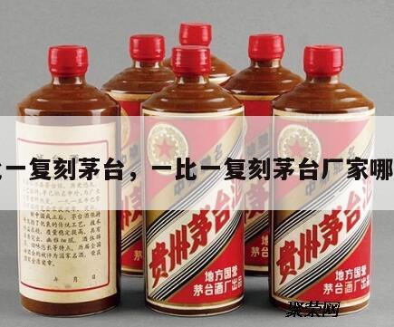 一比一复刻茅台，一比一复刻茅台厂家哪里找