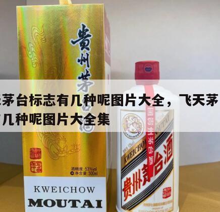 飞天茅台标志有几种呢图片大全，飞天茅台标志有几种呢图片大全集