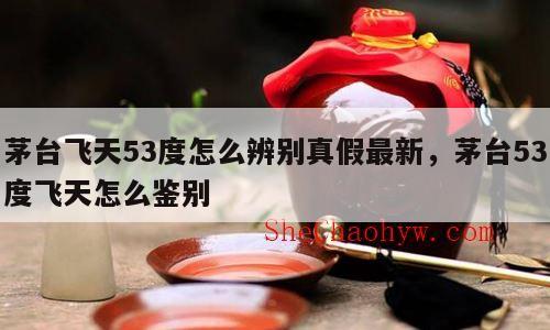 茅台飞天53度怎么辨别真假最新，茅台53度飞天怎么鉴别