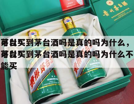 茅台*
可以买到茅台酒吗是真的吗为什么，茅台*
可以买到茅台酒吗是真的吗为什么不能买