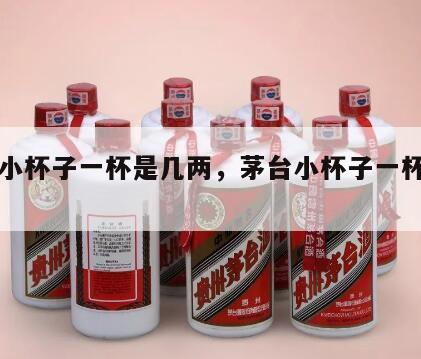 茅台小杯子一杯是几两，茅台小杯子一杯是几两酒