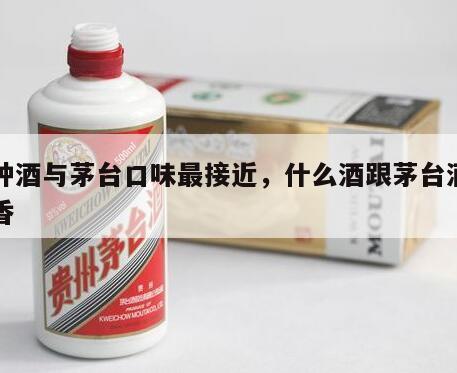 哪种酒与茅台口味最接近，什么酒跟茅台酒一样香