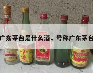 广东茅台是什么酒，号称广东茅台