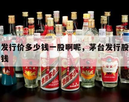 茅台发行价多少钱一股啊呢，茅台发行股价是多少钱
