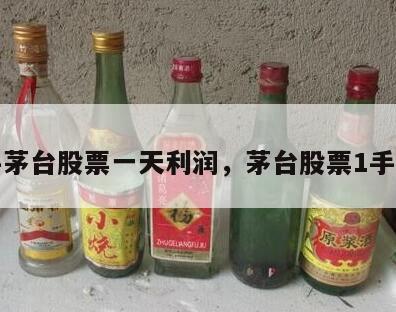 一手茅台股票一天利润，茅台股票1手多少