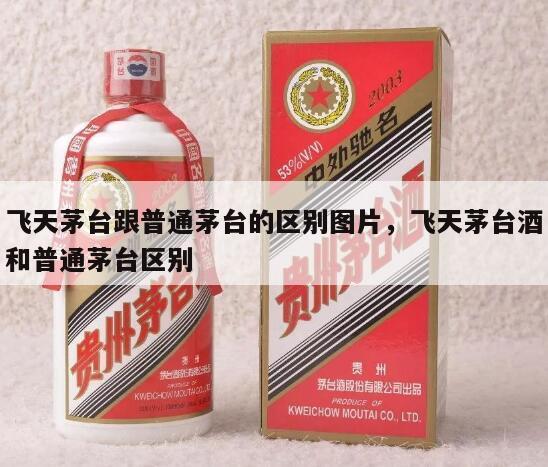 飞天茅台跟普通茅台的区别图片，飞天茅台酒和普通茅台区别