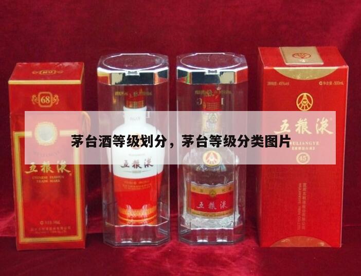 茅台酒等级划分，茅台等级分类图片