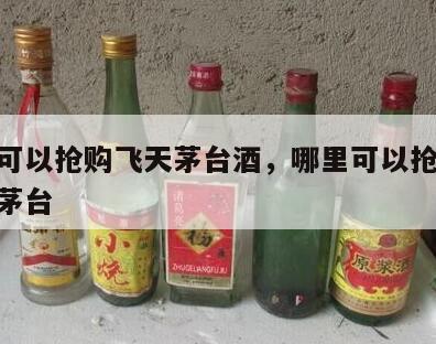 哪里可以抢购飞天茅台酒，哪里可以抢53度飞天茅台