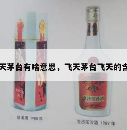 飞天茅台有啥意思，飞天茅台飞天的含义