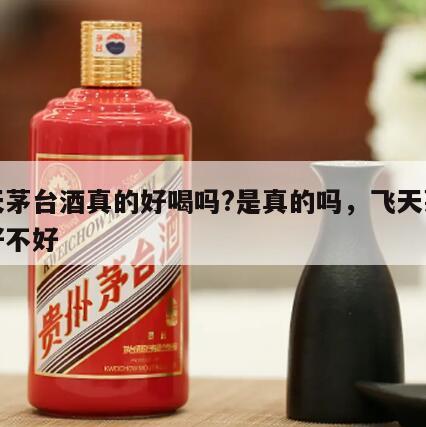 飞天茅台酒真的好喝吗?是真的吗，飞天茅台酒好不好
