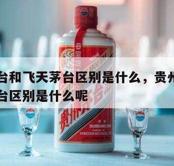 贵州茅台和飞天茅台区别是什么，贵州茅台和飞天茅台区别是什么呢