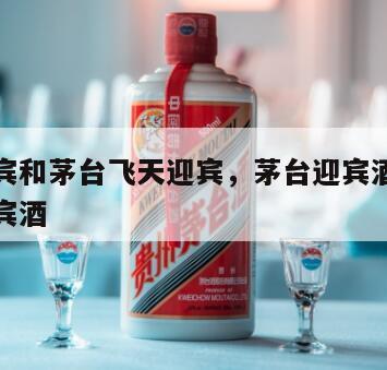 茅台迎宾和茅台飞天迎宾，茅台迎宾酒和茅台飞天迎宾酒