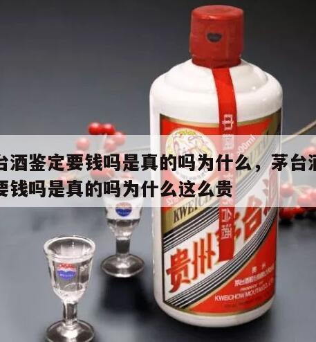 茅台酒鉴定要钱吗是真的吗为什么，茅台酒鉴定要钱吗是真的吗为什么这么贵