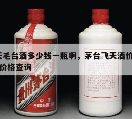 飞天毛台酒多少钱一瓶啊，茅台飞天酒价格53度价格查询