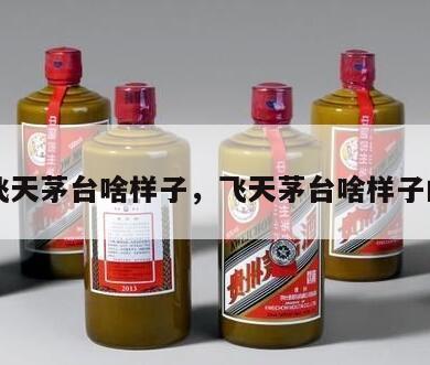 飞天茅台啥样子，飞天茅台啥样子的