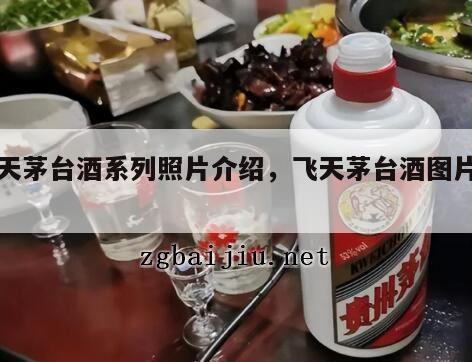 飞天茅台酒系列照片介绍，飞天茅台酒图片下载