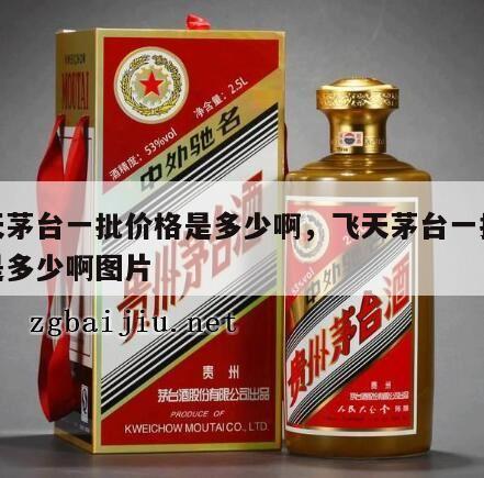 飞天茅台一批价格是多少啊，飞天茅台一批价格是多少啊图片