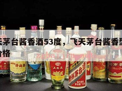 飞天茅台酱香酒53度，飞天茅台酱香型53度价格