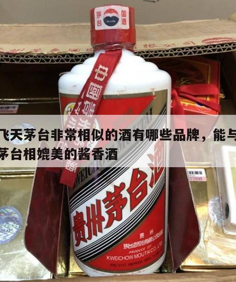 和飞天茅台非常相似的酒有哪些品牌，能与飞天茅台相媲美的酱香酒