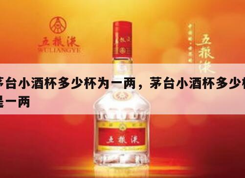 茅台小酒杯多少杯为一两，茅台小酒杯多少杯是一两