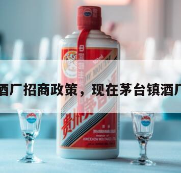 茅台镇酒厂招商政策，现在茅台镇酒厂招工吗