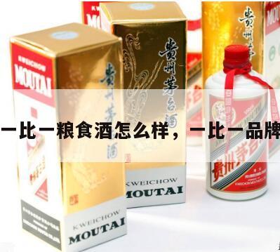 一比一粮食酒怎么样，一比一品牌