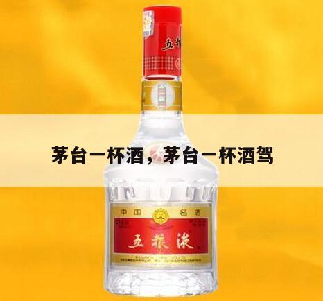 茅台一杯酒，茅台一杯酒驾
