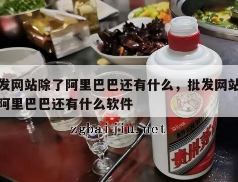 批发网站除了阿里巴巴还有什么，批发网站除了阿里巴巴还有什么软件