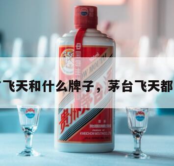茅台有飞天和什么牌子，茅台飞天都有哪些