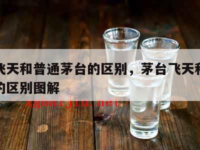 茅台飞天和普通茅台的区别，茅台飞天和普通茅台的区别图解