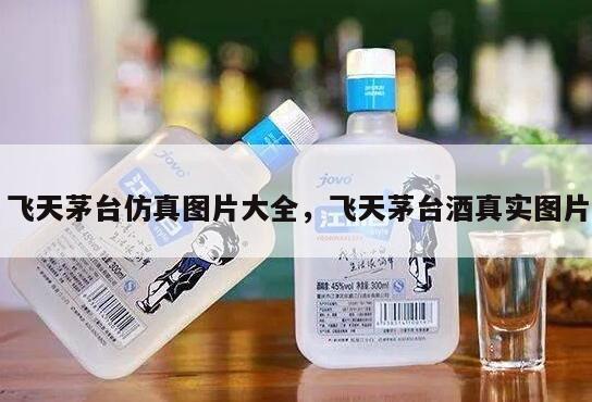 飞天茅台仿真图片大全，飞天茅台酒真实图片