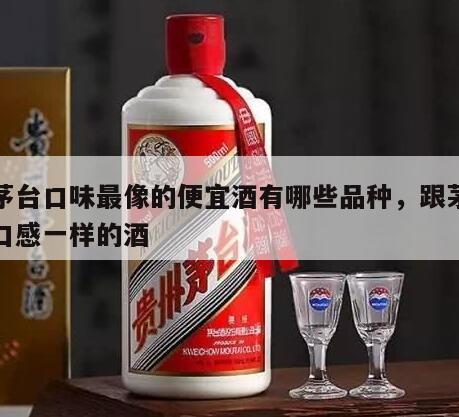 和茅台口味最像的便宜酒有哪些品种，跟茅台酒口感一样的酒