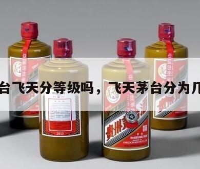 茅台飞天分等级吗，飞天茅台分为几种