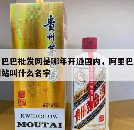 阿里巴巴批发网是哪年开通国内，阿里巴巴批发网站叫什么名字