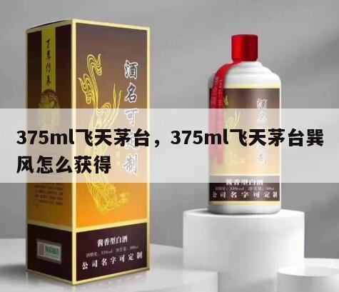 375ml飞天茅台，375ml飞天茅台巽风怎么获得