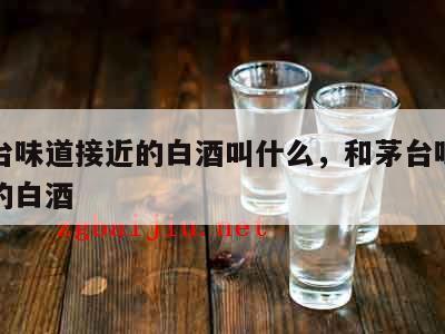 与茅台味道接近的白酒叫什么，和茅台味道差不多的白酒