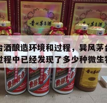 巽风茅台酒酿造环境和过程，巽风茅台酒酿造环境和过程中已经发现了多少种微生物