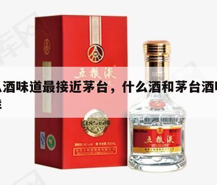 什么酒味道最接近茅台，什么酒和茅台酒味道一样