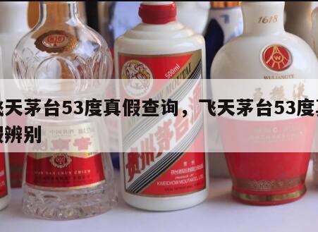 飞天茅台53度真假查询，飞天茅台53度真假辨别
