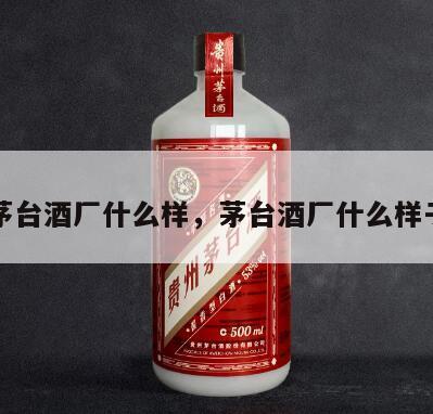 茅台酒厂什么样，茅台酒厂什么样子