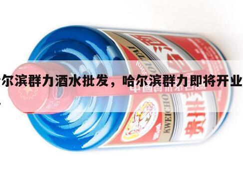 哈尔滨群力酒水批发，哈尔滨群力即将开业酒吧