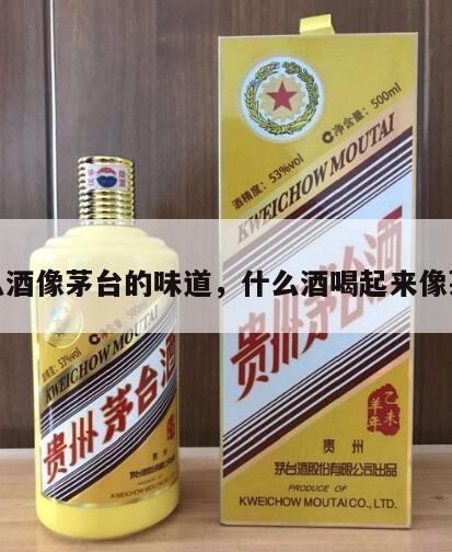 什么酒像茅台的味道，什么酒喝起来像茅台