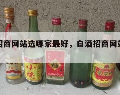 白酒招商网站选哪家最好，白酒招商网站哪个好