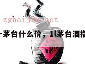 1比一茅台什么价，1l茅台酒指导价